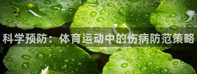 成都意昂电子有限公司
