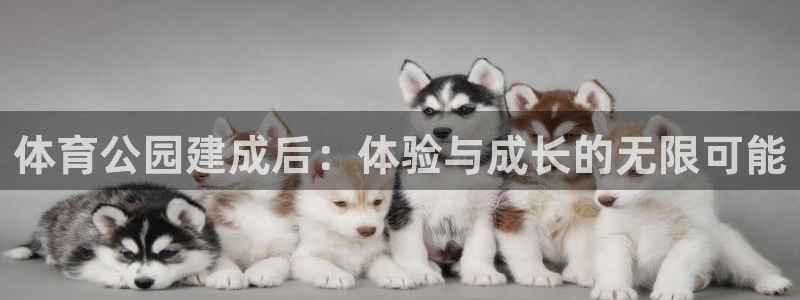 佛山市南海杏耀机电仪器有限公司：体育公园建成后：体验与成长的无限可能