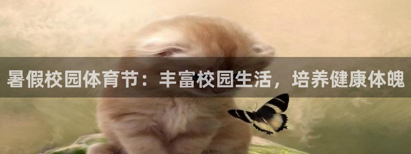 意昂官网注册：暑假校园体育节：丰富校园生活，培养健康体魄