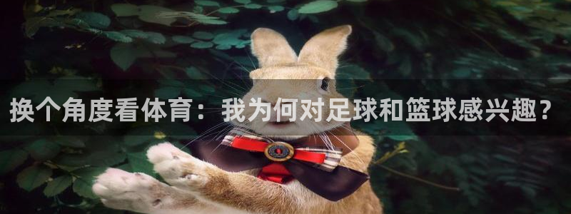 杏耀体育eon：换个角度看体育：我为何对足球和篮球感兴趣？