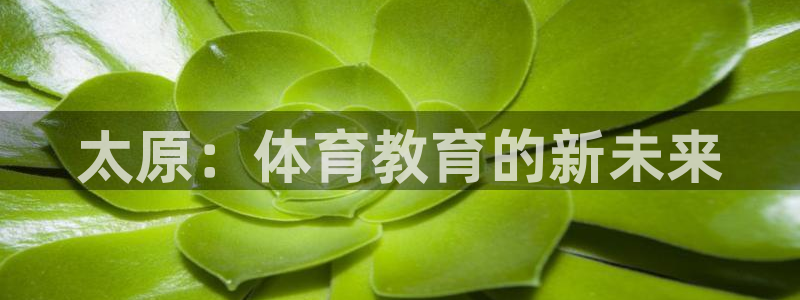 杏耀电子有限公司