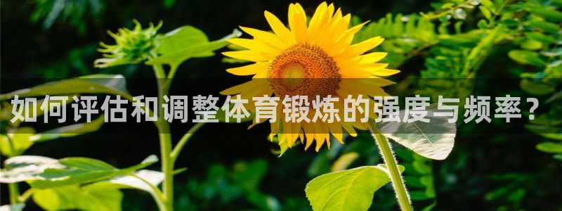 意昂平台主管：如何评估和调整体育锻炼的强度与频率？