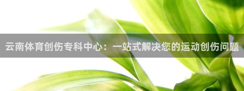 意昂体育官网：云南体育创伤专科中心：一站式解决您的运动创伤问题