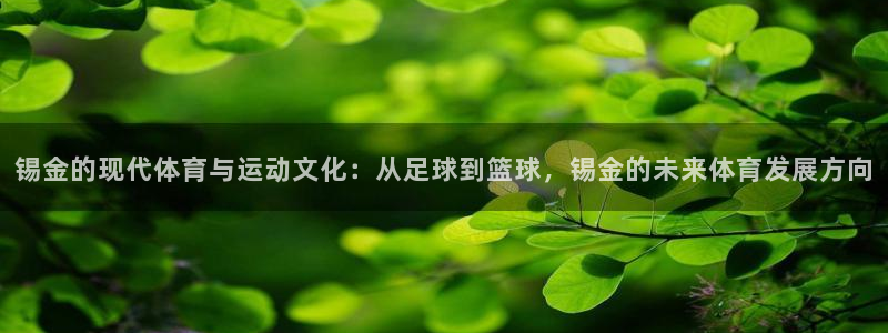 意昂是什么品牌：锡金的现代体育与运动文化：从足球到篮球，锡金的未来体育发展方向