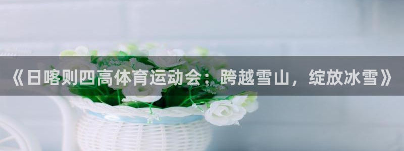意昂新能源汽车科技有限公司：《日喀则四高体育运动会：跨越雪山，绽放冰雪》